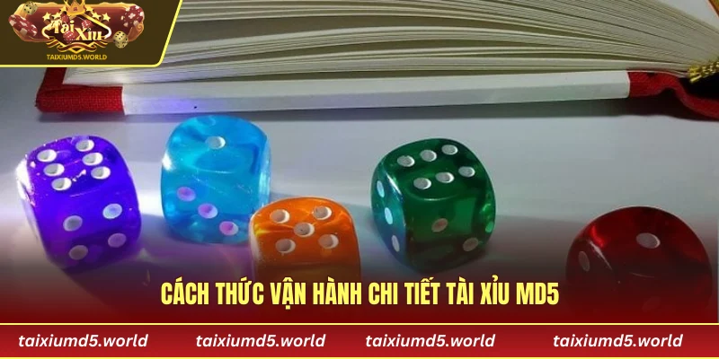 Cách thức vận hành chi tiết tài xỉu MD5