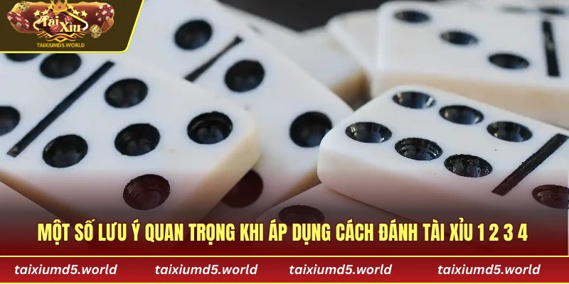 Một số lưu ý quan trọng khi áp dụng cách đánh tài xỉu 1 2 3 4